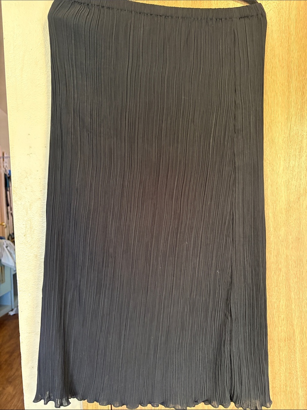 Madewell Black Pleated Maxi Skirt